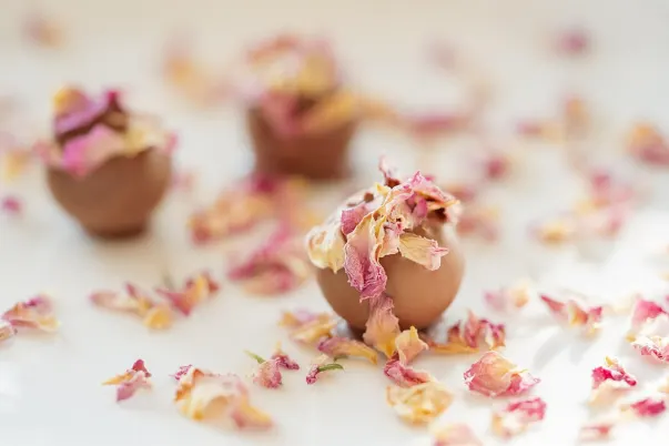 Casino Paris VIP Application Android/iOS